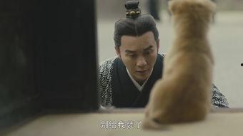 国产男人的天堂,男人的天堂，情感与激情的完美融合